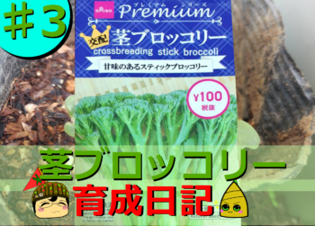 Thumbnail of post image 019